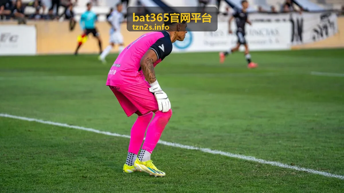 bat365官网平台规则说明专题